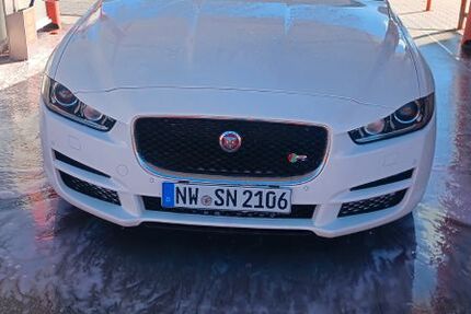 Jaguar XE 198.000 km 8.500 &euro; Neustadt 67435
