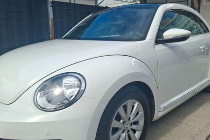 VW Beetle 310.000 km 3.650 &euro; Walldorf (bei Heidelberg) 69190
