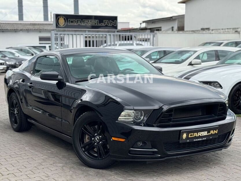 Mustang