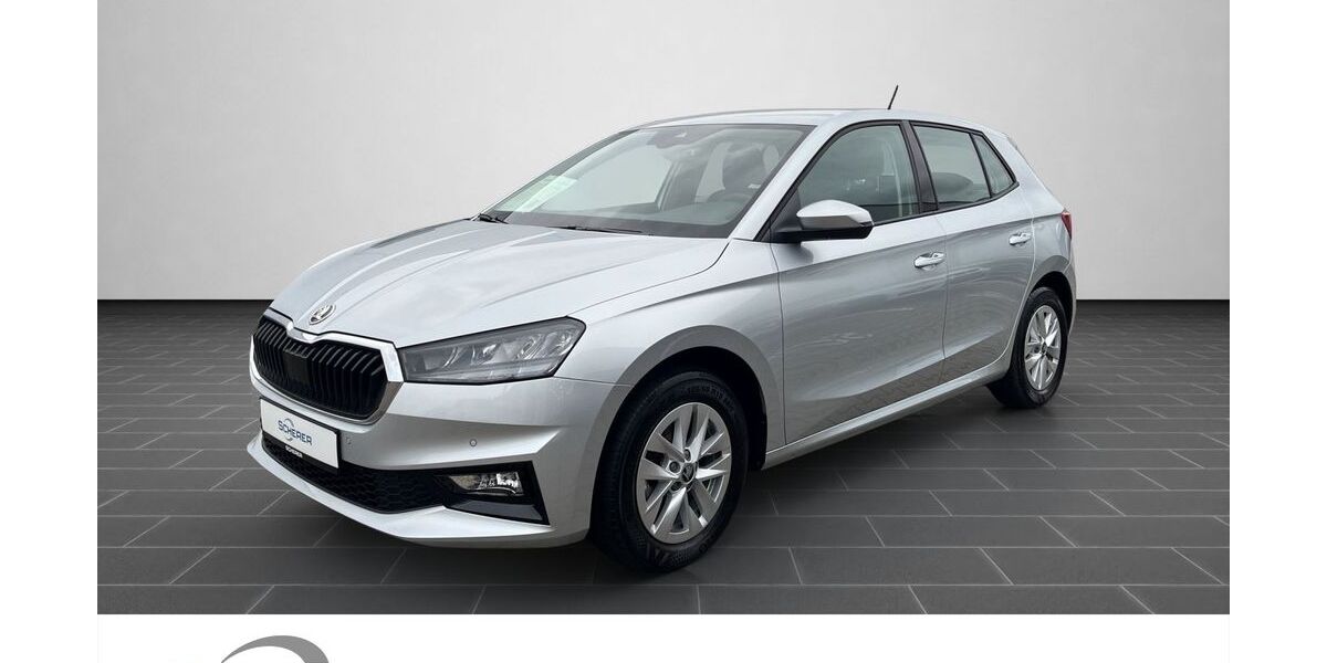 Skoda Fabia 17.331 km 20.200 &euro; Ladenburg 68526