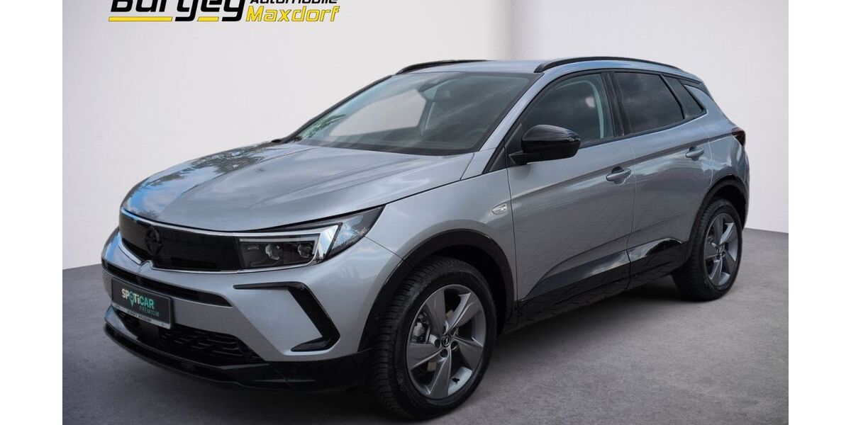 Opel Grandland (X) 9.700 km 26.980 &euro; Maxdorf 67133