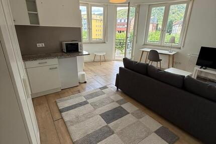 Wohnung Heidelberg Boxberg - 1 Zimmer, 30 m&sup2;, 850&euro; | Angebot:26322299