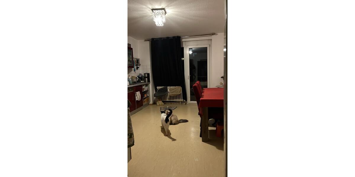 Etagenwohnung Ludwigshafen am Rhein Ludwigshafen-Hemshof - 3 Zimmer, 85 m&sup2;, 255.000&euro; | Angebot:26294810