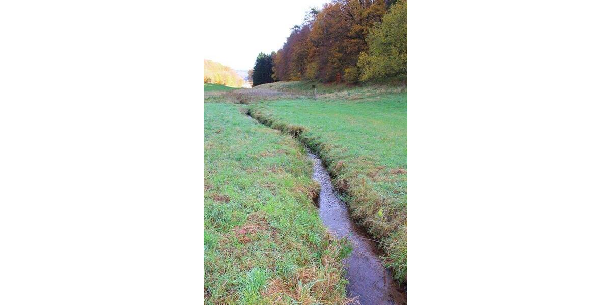 Grundstück Wald-Michelbach Kocherbach - 118.000&euro; | Angebot:23956533