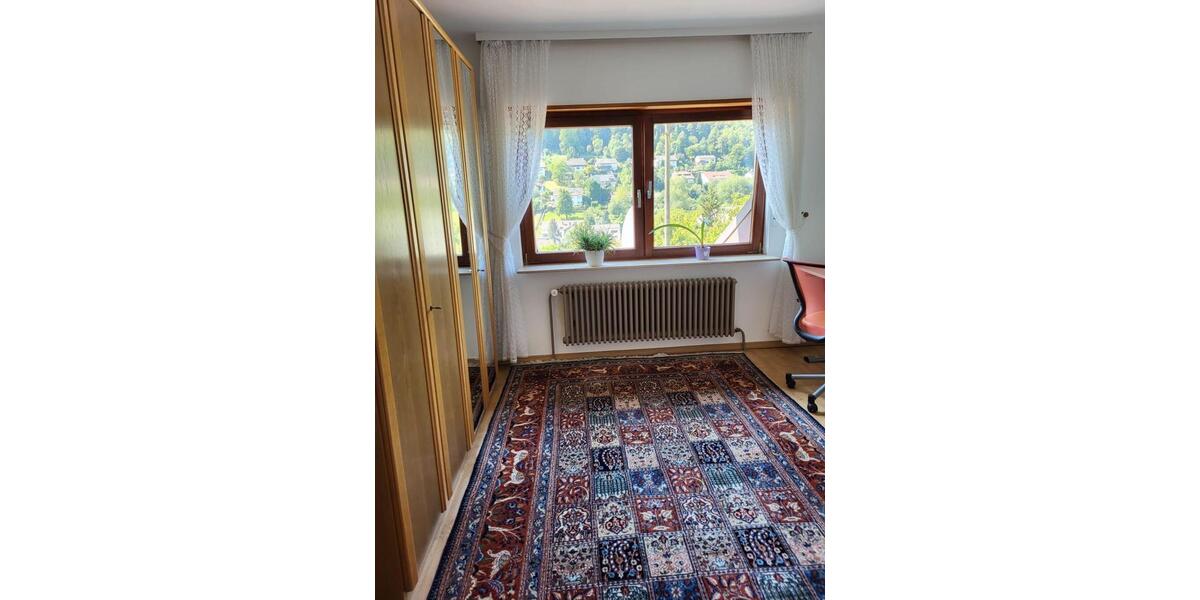 Etagenwohnung Heidelberg Peterstal - 2 Zimmer, 50 m&sup2;, 590&euro; | Angebot:25239747