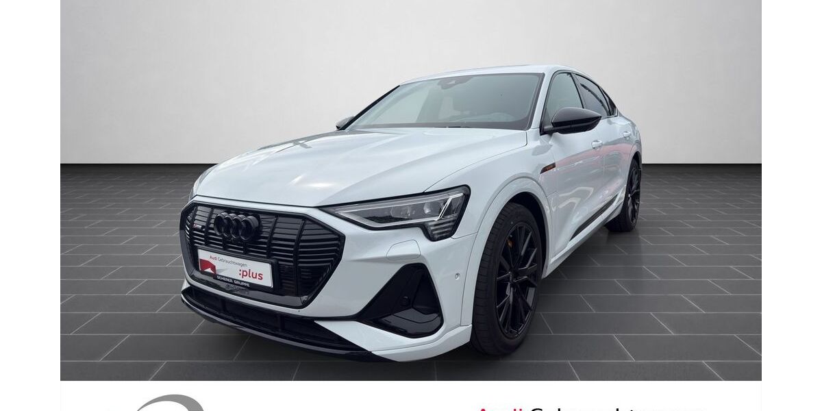 Audi e-tron 44.646 km 39.990 &euro; Ludwigshafen 67063