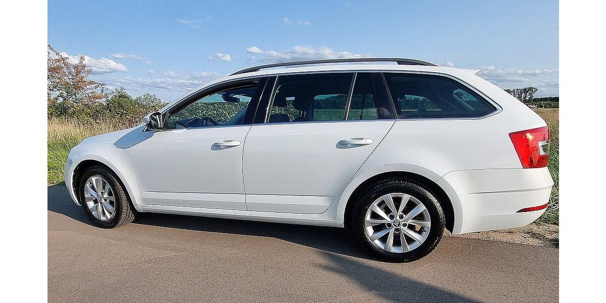 Skoda Octavia 104.000 km 17.777 &euro; Bibliss 68647