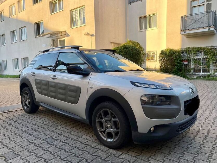 C4 Cactus