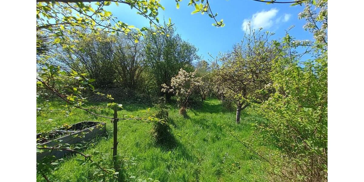 Einfamilienhaus Waghäusel - 1.600.000&euro; | Angebot:26163657