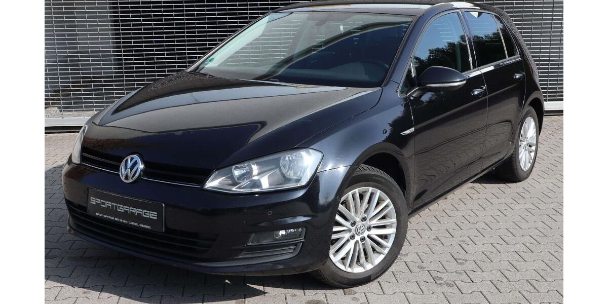VW Golf 179.321 km 9.200 &euro; Zwingenberg (bei Bensheim) 64673