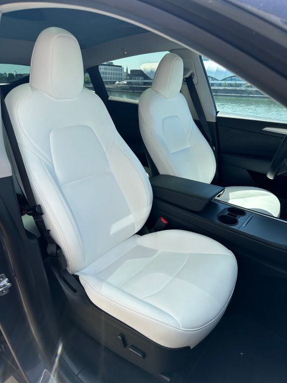 Model Y