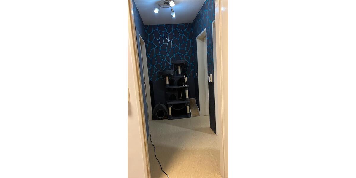 Etagenwohnung Ludwigshafen am Rhein Ludwigshafen-Hemshof - 3 Zimmer, 85 m&sup2;, 195.000&euro; | Angebot:26294810