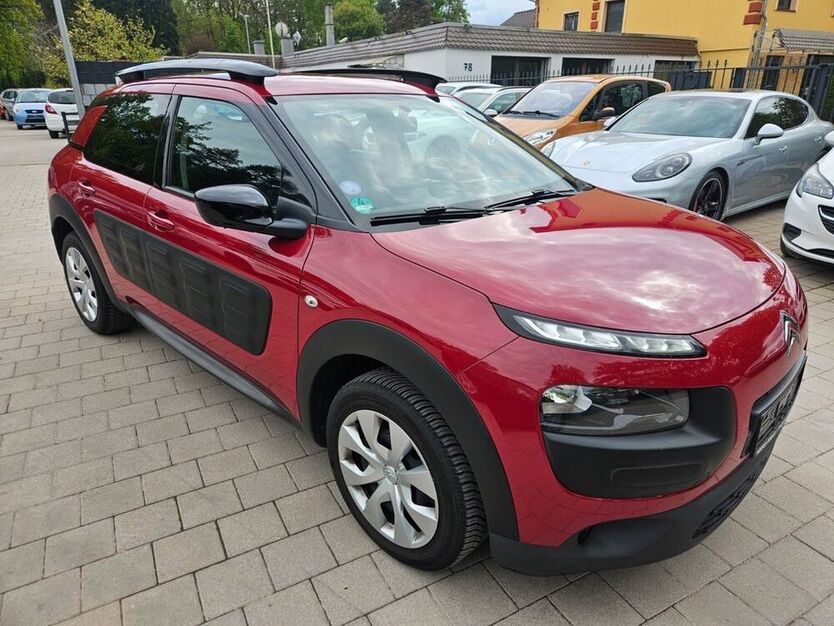 C4 Cactus