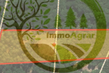 Grundstück Wald-Michelbach Michelbach - 25.000&euro; | Angebot:21199170