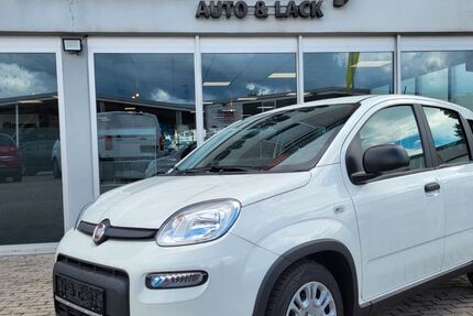 Fiat Panda 6.700 km 11.419 € Heddesheim 68542