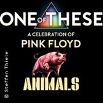 One Of These Pink Floyd Tributes - A Celebration Of Pink Floyd Animals Tour 2026
