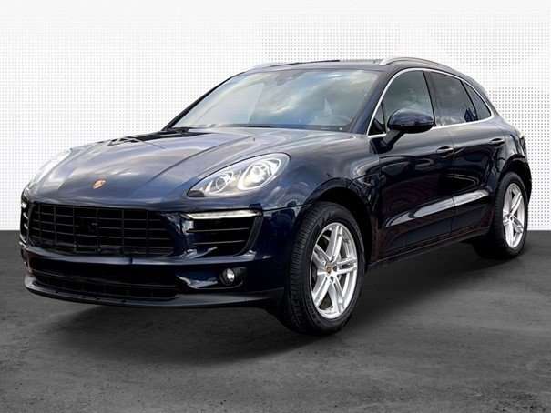 Macan
