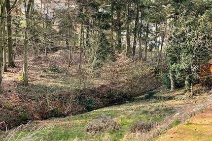 Grundstück Birkenau-Löhrbach Löhrbach - 325.000&euro; | Angebot:9927144