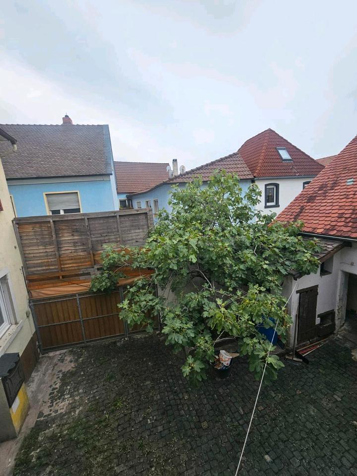 Familienhaus in Weisenheim am Sand