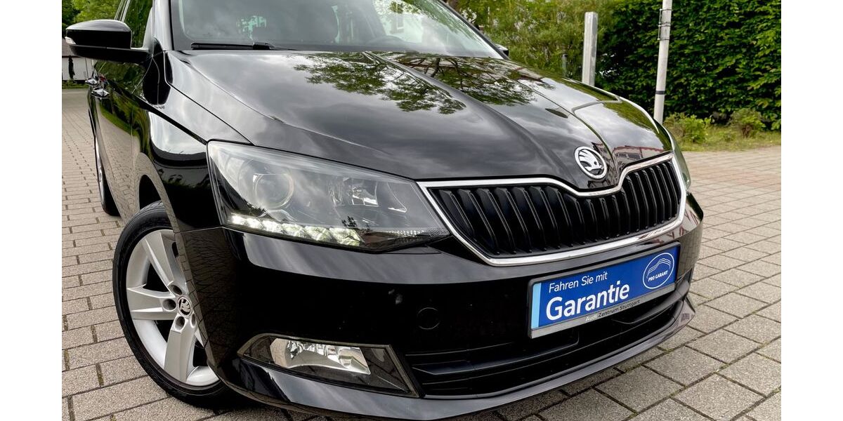 Skoda Fabia 78.400 km 13.700 &euro; Worms 67547