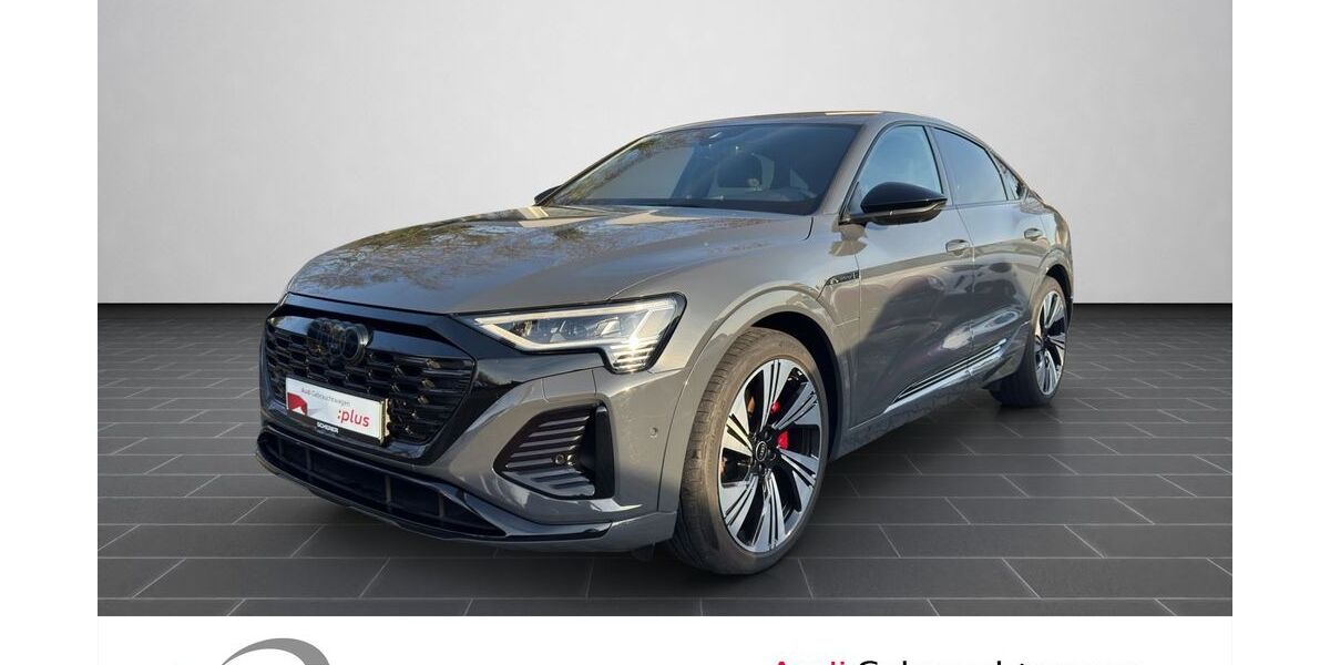 Audi Q8 e-tron 18.364 km 60.990 &euro; Ludwigshafen 67063