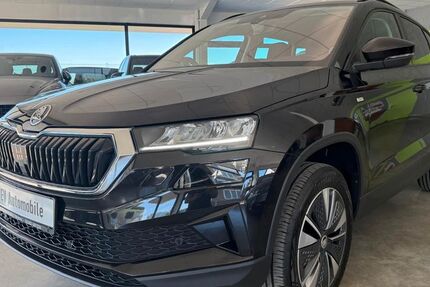 Skoda Karoq 106.000 km 19.900 &euro; Worms 67550
