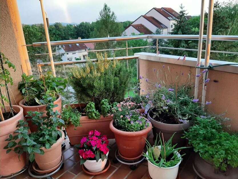 Wohnung zum Kaufen in Heppenheim 210.000 € 80.6 m²