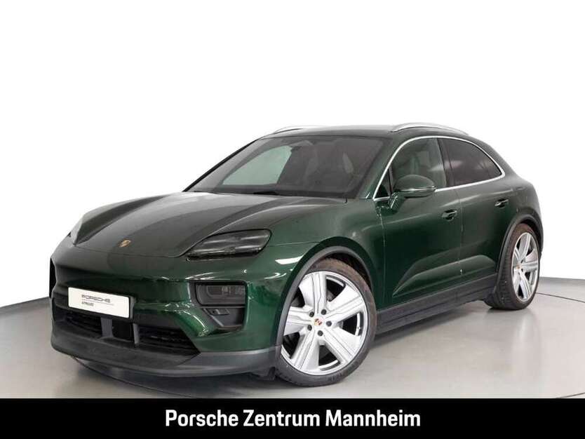 Macan