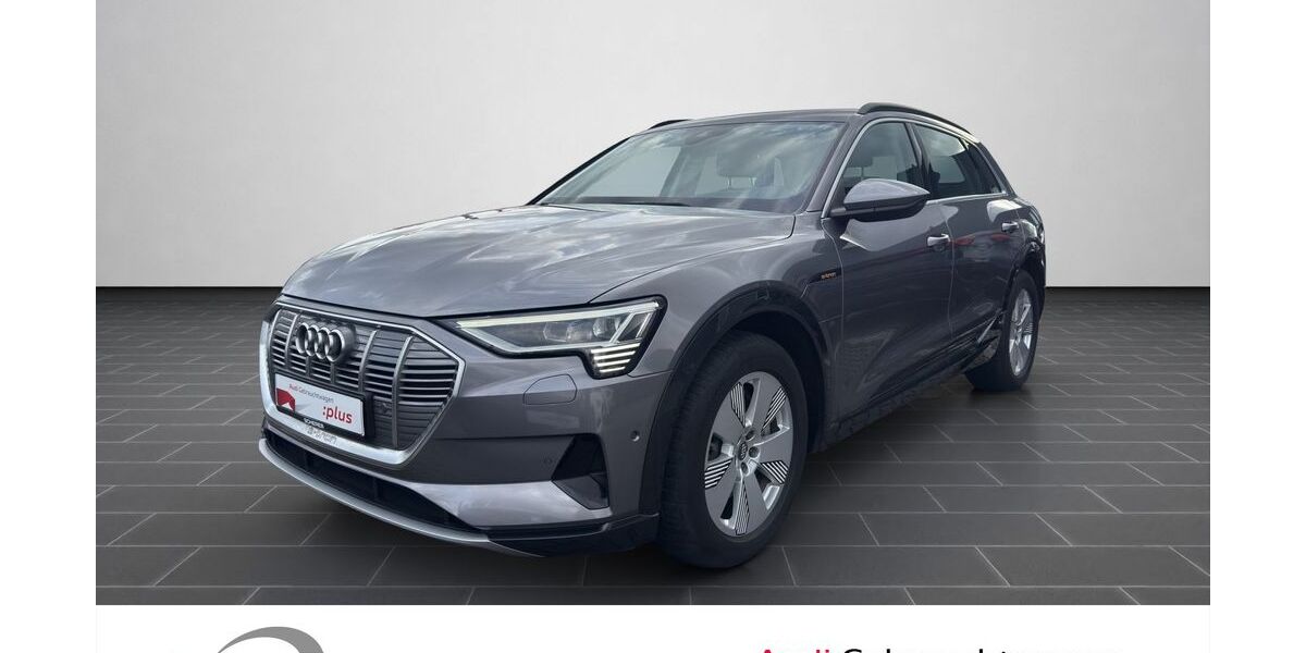 Audi e-tron 45.792 km 23.900 &euro; Ludwigshafen 67063