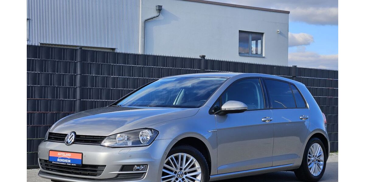 VW Golf 211.774 km 8.400 &euro; Monsheim 67590