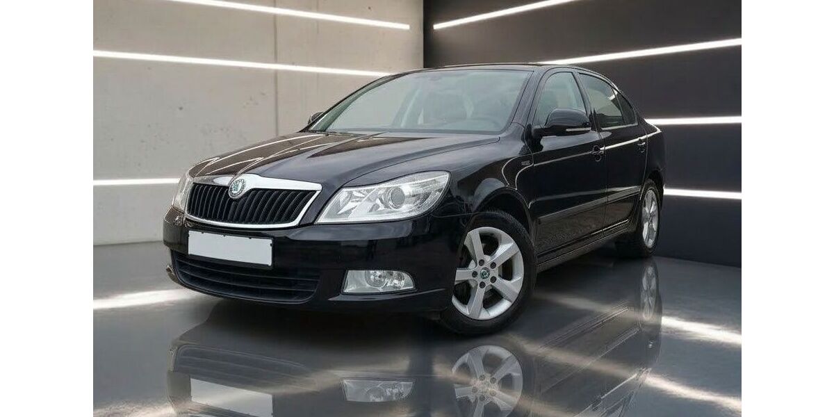 Skoda Octavia 99.900 km 9.990 &euro; Frankenthal 67227