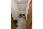 Etagenwohnung Kindenheim - 2 Zimmer, 85 m&sup2;, 750&euro; | Angebot:25082048