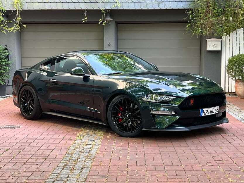 Mustang