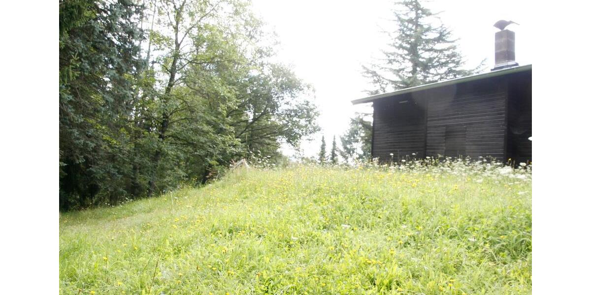 Einfamilienhaus Worms Nördliche Vororte - 4 Zimmer, 69 m&sup2;, 89.000&euro; | Angebot:26321924