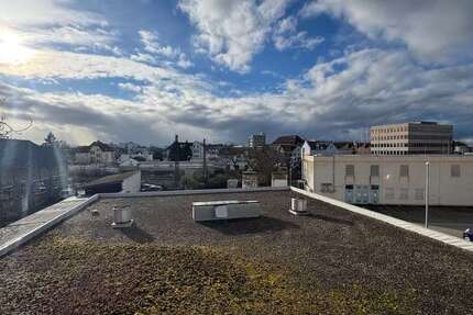 Wohnung Frankenthal - 1 Zimmer, 50 m&sup2;, 450&euro; | Angebot:25361529