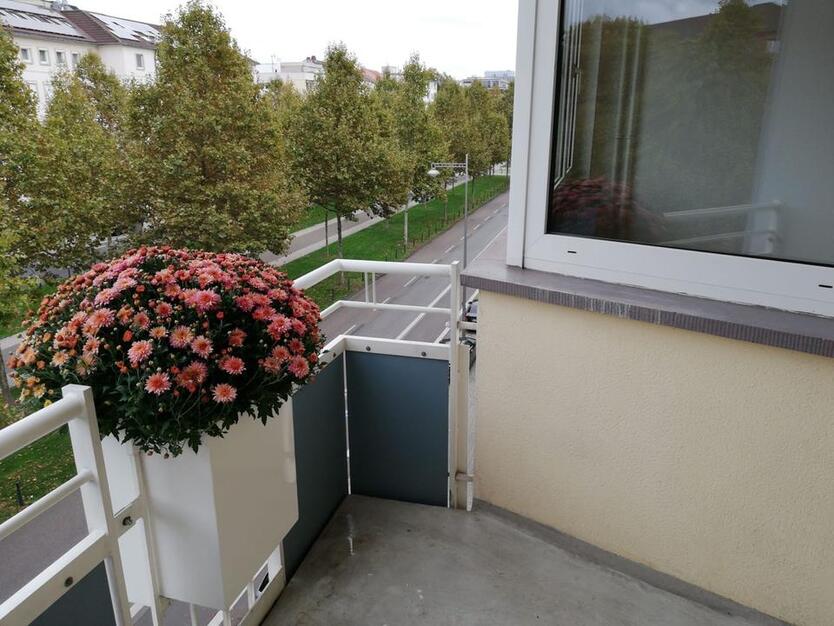 Helle 2-Zimmer-Wohnung mit Balkon in Mannheim-Ost