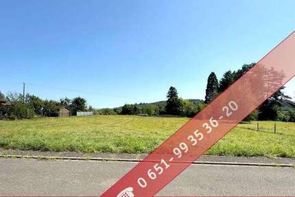 Grundstück zu verkaufen in Konz Hamm (bei Filzen) 260.000 € 1081 m²