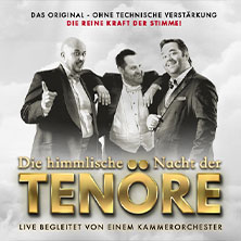 Himmlische Nacht der Tenöre - Das Original - Live und ohne technische Verstärkung 25.01.2026 Parktheater Bensheim