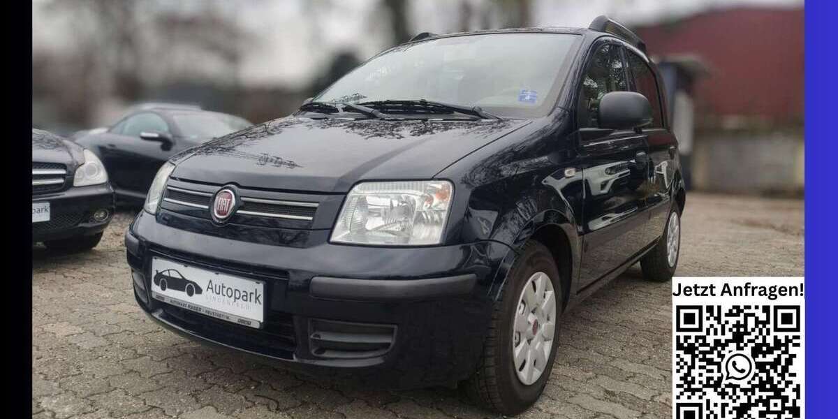 Fiat Panda 98.000 km 2.990 &euro; Lingenfeld 67360