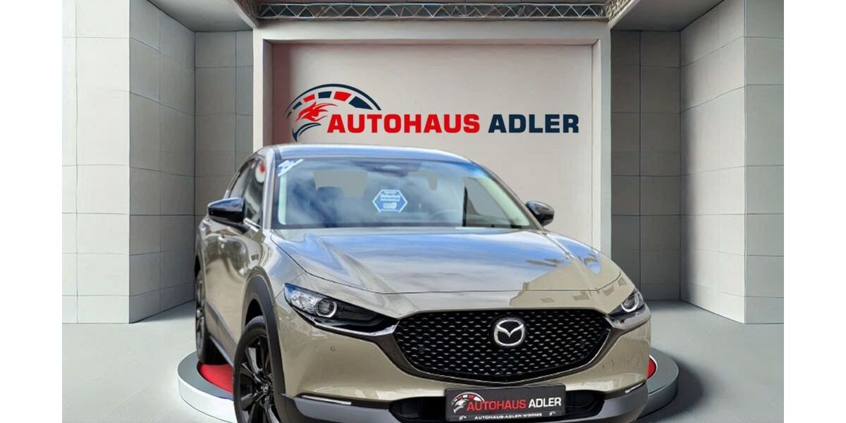 Mazda CX-30 8.855 km 26.990 &euro; Worms 67549