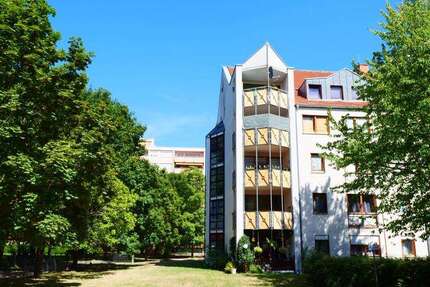 Wohnung Frankenthal (Pfalz) Frankenthal Kernstadt - 1 Zimmer, 46 m&sup2;, 401&euro; | Angebot:25372008