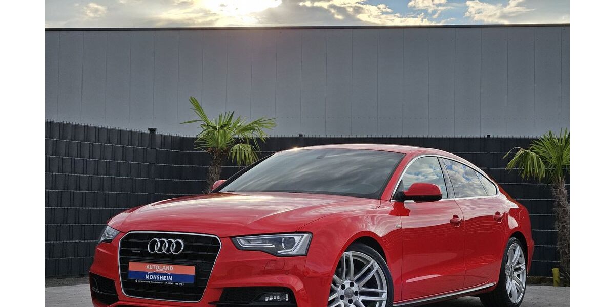 Audi A5 250.000 km 13.450 &euro; Monsheim 67590