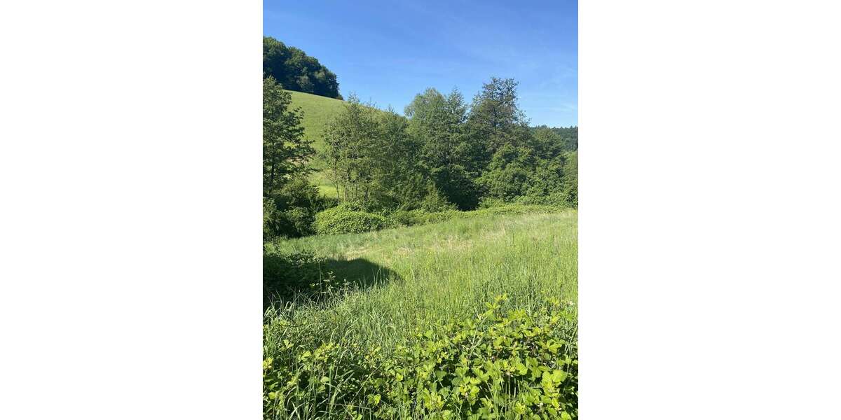 Grundstück Gorxheimertal - 199.500&euro; | Angebot:22516520