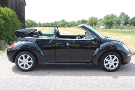 VW New Beetle