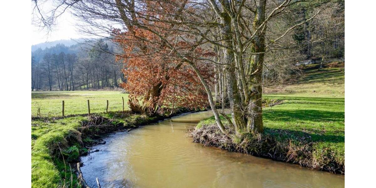 Gewerbeobjekt Wald-Michelbach / Unter-Schönmattenwag Unter-Schönmattenwag - 250.000&euro; | Angebot:23881254