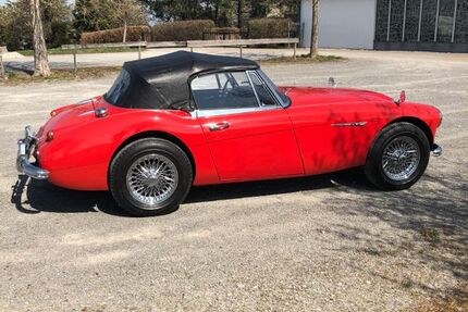 Austin Healey Andere 100.000 km 44.000 &euro; Großkarlbach 67229