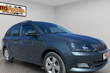 Skoda Fabia 99.999 km 11.900 &euro; Worms 67547