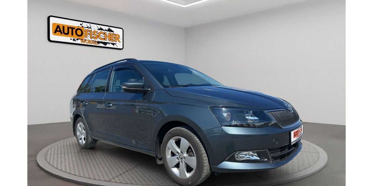 Skoda Fabia 99.999 km 11.900 &euro; Worms 67547