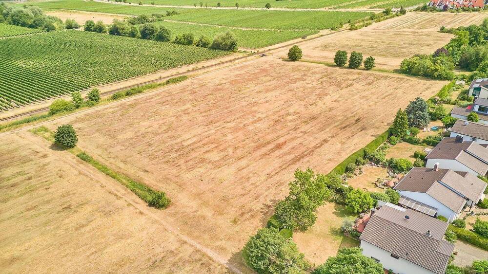 Grundstück Wachenheim - 349.965&euro; | Angebot:25776326