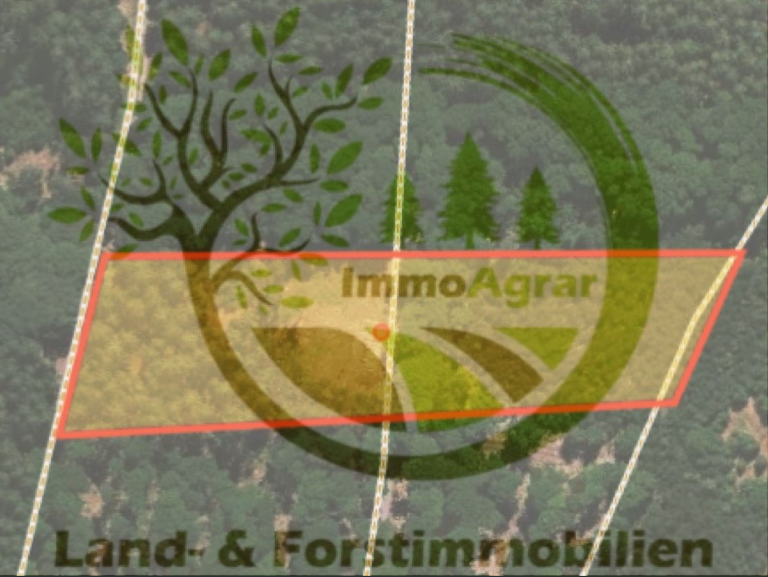 Grundstück in Wald-Michelbach 39.900 € 11569 m²